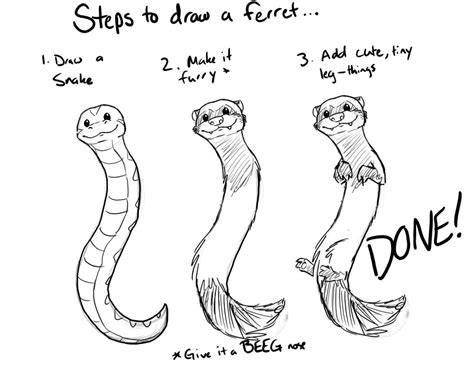 Pin by Bridgett Curtis on Ferrets | Ferret, Cute ferrets, Drawings