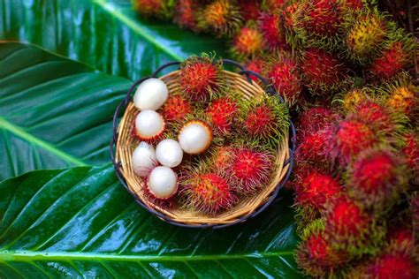 Easy Ways to Eat Rambutan Fruit 2024 - AtOnce