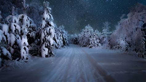 Winter Forest Wallpapers Night - Wallpaper Cave