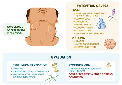 Osmosis - Cervical Lymphadenopathy: What Is It, Causes, Workup ...