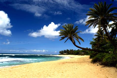 🔥 Free download Pics Photos Free Beach Wallpaper Hawaii Beaches ...