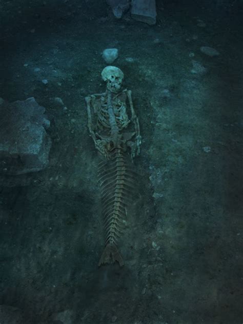 mermaid skeleton TASHA ... SEE THEY ARE REAL !!! | Mermaid skeleton, Mythical monsters, Real ...