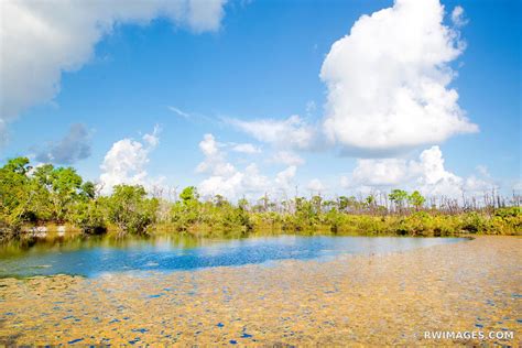 Photo Print of BLUE HOLE WILDLIFE REFUGE BIG PINE KEY FLORIDA Print Framed Picture Fine Art ...