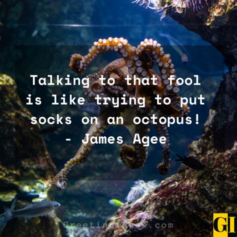 30 Best Octopus Quotes, Sayings and Phrases