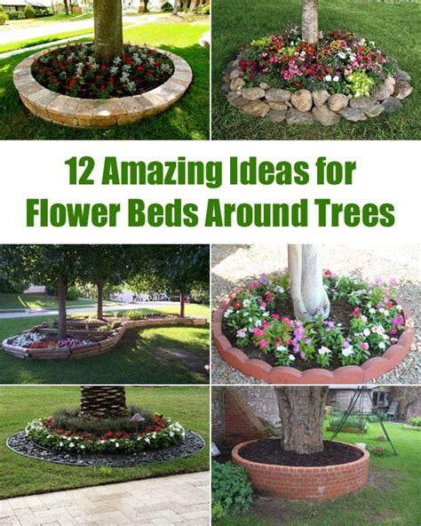 12 Amazing Ideas for Flower Beds Around Trees | Landscaping around trees, Garden flower beds ...