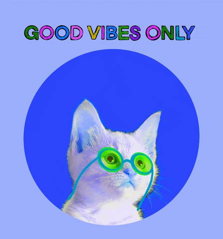 Vibing Cat GIFs | GIFDB.com