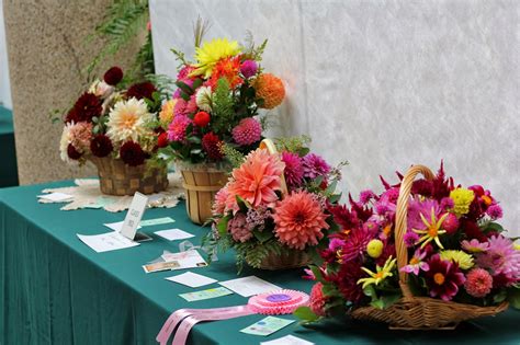 Love, Joy and Peas: Philadelpha Dahlia Society Flower Show Photos