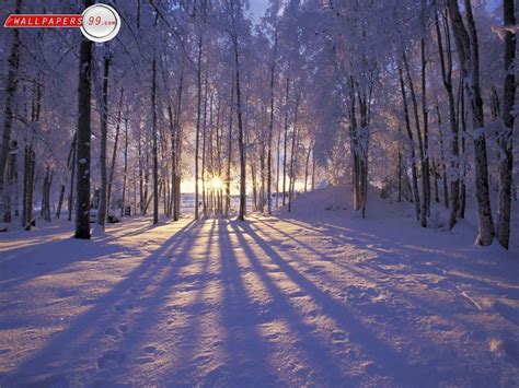 Free Winter Scene Wallpapers - Wallpaper Cave | Winter landscape, Winter scenery, Winter desktop ...