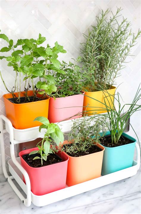 Make a Colorful Indoor Herb Garden - A Beautiful Mess