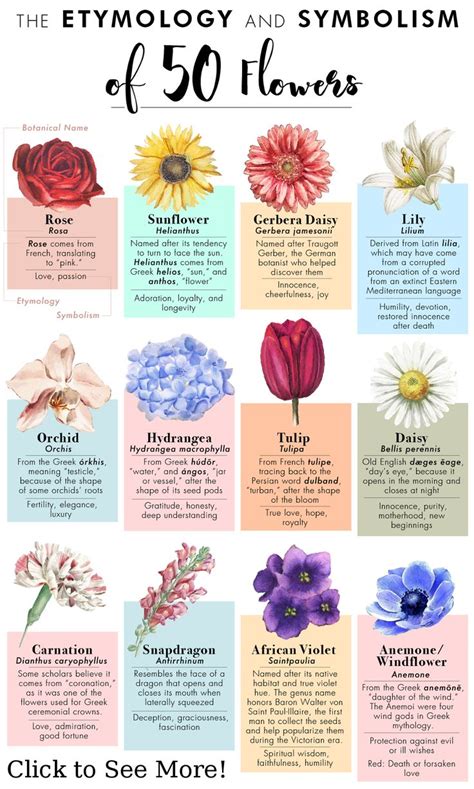 The Etyomology and Symbolism of 50 Flowers | Flower meanings, Different kinds of flowers, Flower ...