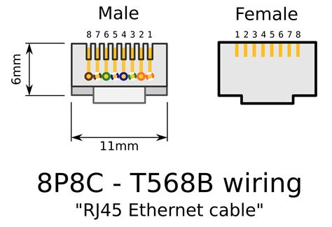 Rj45 Female Connector Wiring Diagram