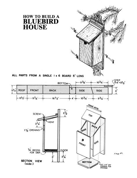 Free Printable Bird Box Plans