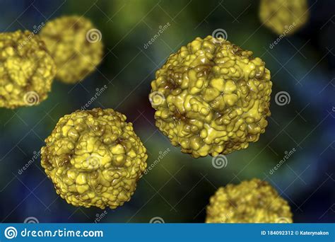 Enteroviruses, a Group of RNA-viruses Including Echoviruses, Coxsackieviruses, Rhinoviruses and ...