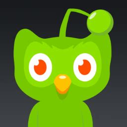 Duolingo App Icon at Vectorified.com | Collection of Duolingo App Icon ...