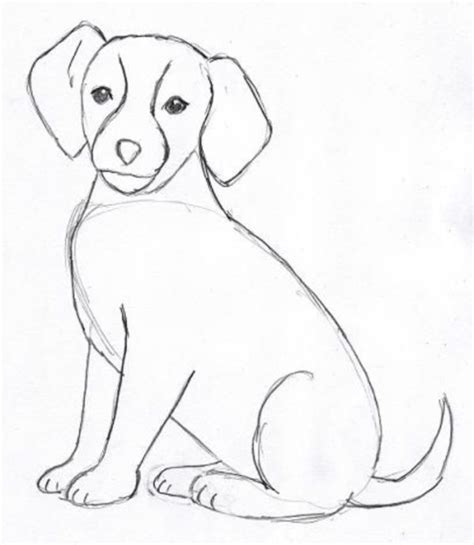 dog pencil drawing outline - Newton Easterling