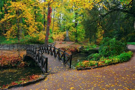 Pequeño puente entre el bosque en otoño | wallpaper hd ultra