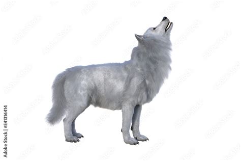 White Dire Wolf howling. 3d illustration isolated on transparent background, Stock Illustration ...