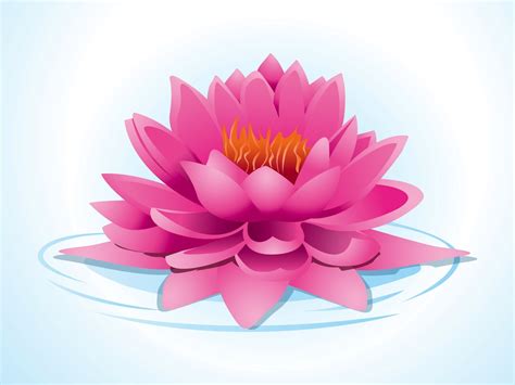 Pink Lotus Vector Art & Graphics | freevector.com