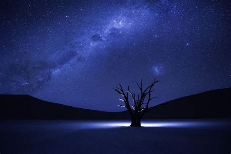 Night, Stars, Nature, Tree, Calm wallpaper | nature and landscape | Wallpaper Better