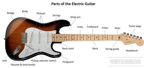 Parts of the electric guitar and importance of each | Guitarriego