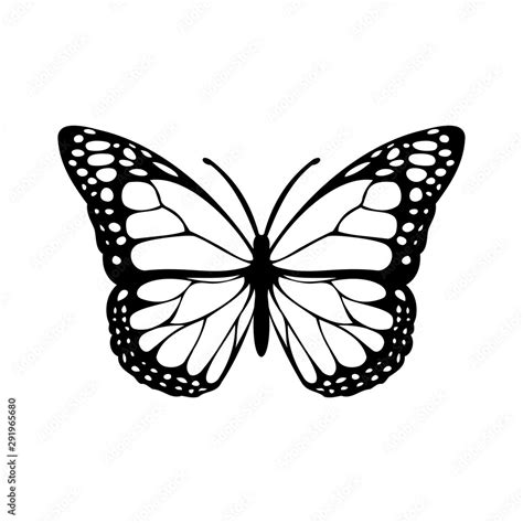 black and white butterfly silhouette Stock Illustration | Adobe Stock