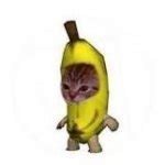 banana cat Meme Generator - Imgflip