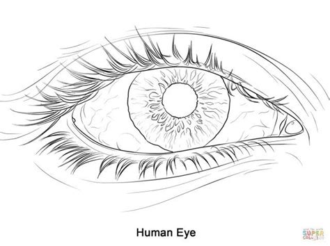 Anime Eyes Coloring Pages - Anime Coloring Pages