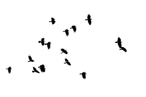 Flying Raven Silhouette at GetDrawings | Free download