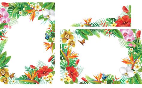 Hawaiian Lei Border Images – Browse 2,050 Stock Photos, Vectors, and ...