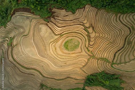 Drone View Above Giant Rice FIelds in, China Stock Photo | Adobe Stock