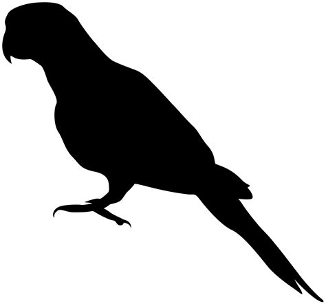 Parrot Silhouette at GetDrawings | Free download