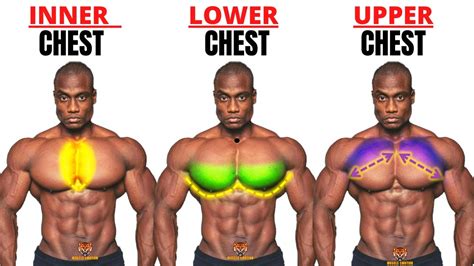 TOP 5 INNER ,LOWER AND UPPER CHEST WORKOUT AT GYM / Meilleurs exs Musculation poitrine ...