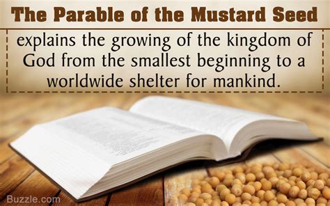 The Powerful Meaning of the Parable and Mustard Seed: Explained - Spiritual Ray