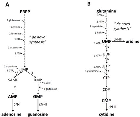 De Novo Synthesis - astonishingceiyrs