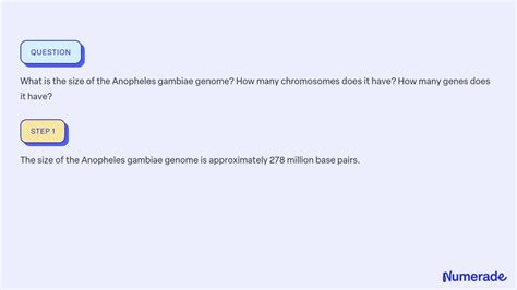 SOLVED:What is the size of the Anopheles gambiae genome? How many chromosomes does it have? How ...