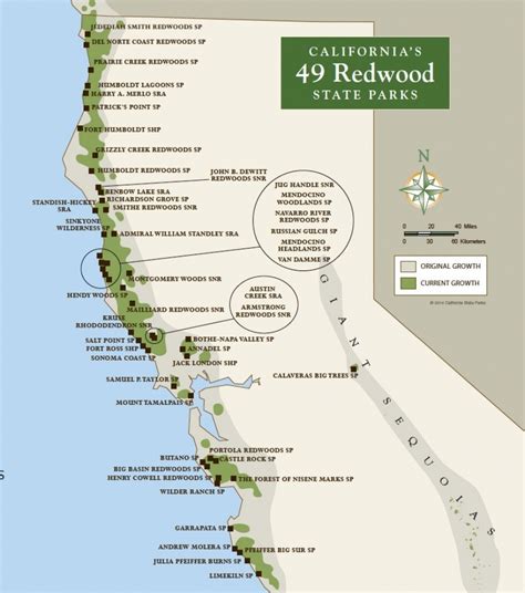 Where Is The Redwood Forest In California On A Map | Printable Maps