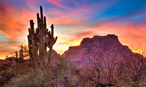 How to Spend a Weekend in Organ Pipe Cactus National Monument