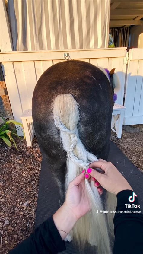 Glamorous Braided Horse Tail Tutorial | Horse riding tips, Horse hair braiding, Horse braiding