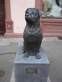 Rottweiler - Wikipedia