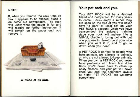 Printable Pet Rock Care Instructions