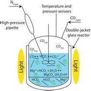 Enhanced precipitation of magnesium carbonates using carbonic anhydrase ...