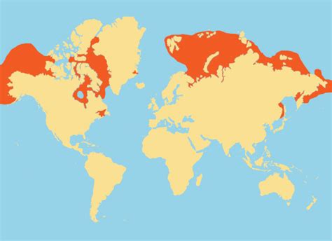 Beluga Whale Range Map