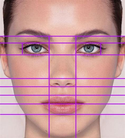 Proportions Of Face Drawing