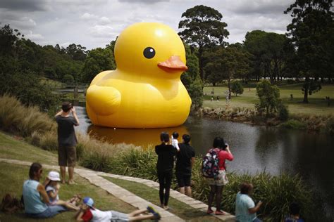 Giant rubber duck pops up in Australia - Photos