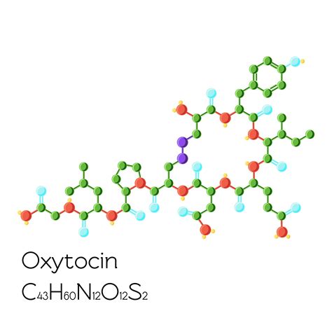 Oxytocin | Enjoy better OHHs with your partner.