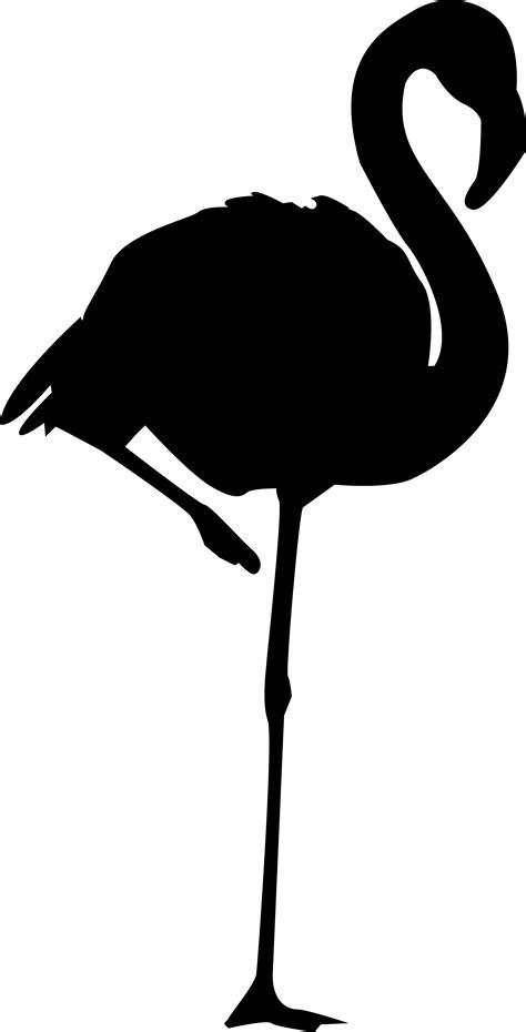 Flamingo Silhouette Vector - ClipArt Best