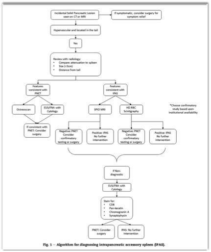 J Surg Res. 2019 Apr;236:144-152 Pancreatic Incidentalomas: A Management Algorithm for ...