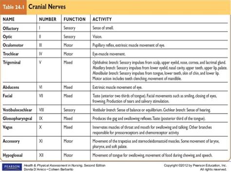 Neurological assessment