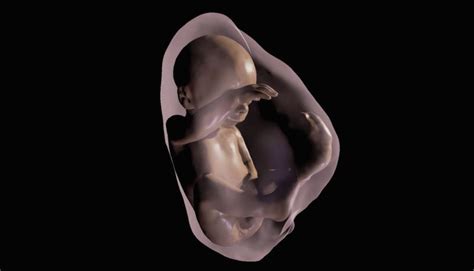 VR lets medics and parents meet 3D babies in the womb - Inavate