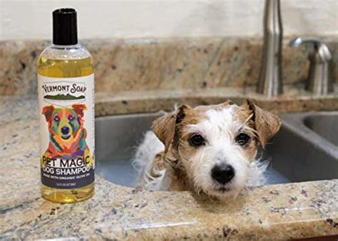 The Best Natural and Organic Dog Shampoos for Bath Time Peace of Mind